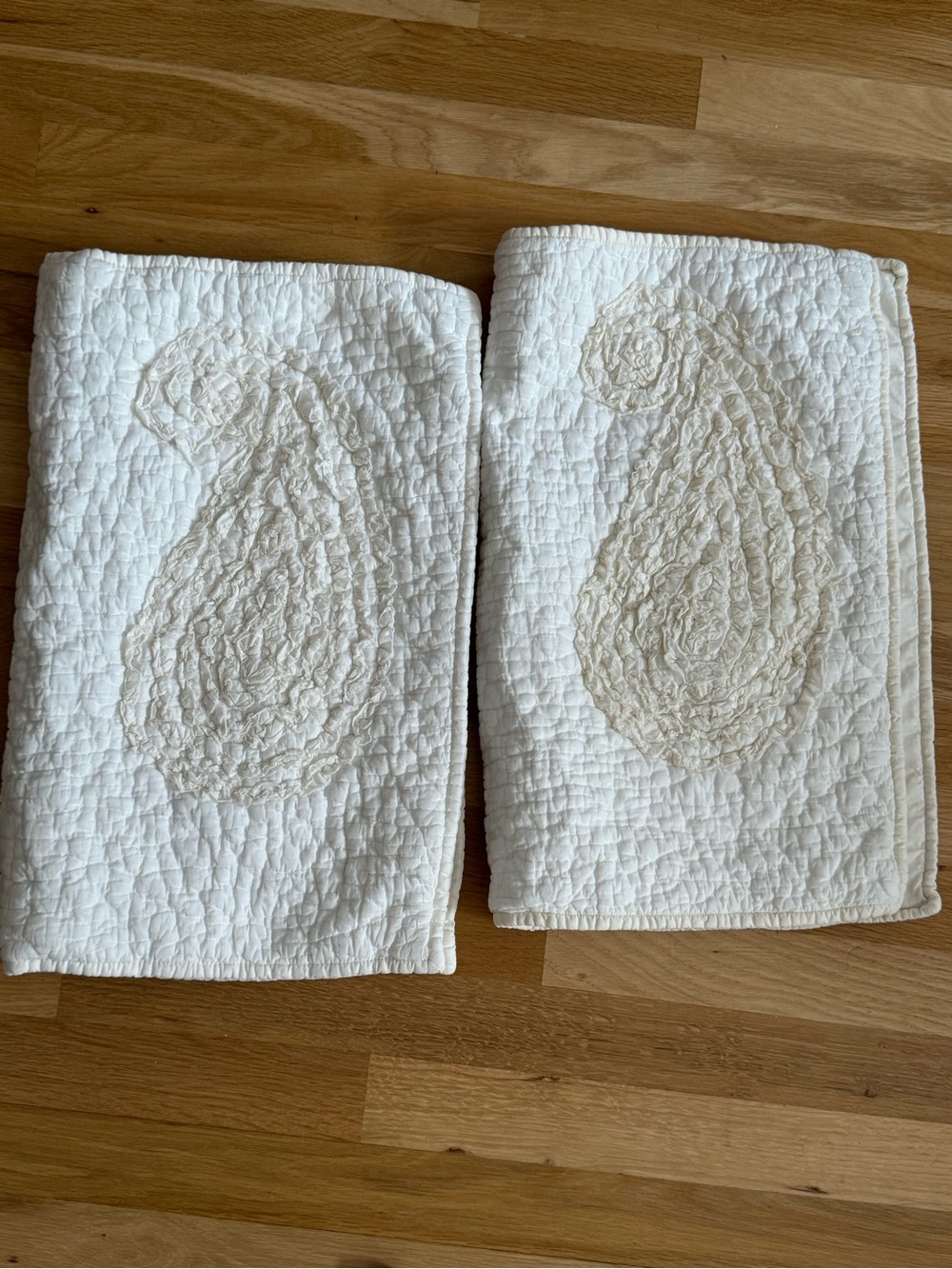Pottery Barn Quilted Paisley Pillow Case Set of 2 ~ Standard Size